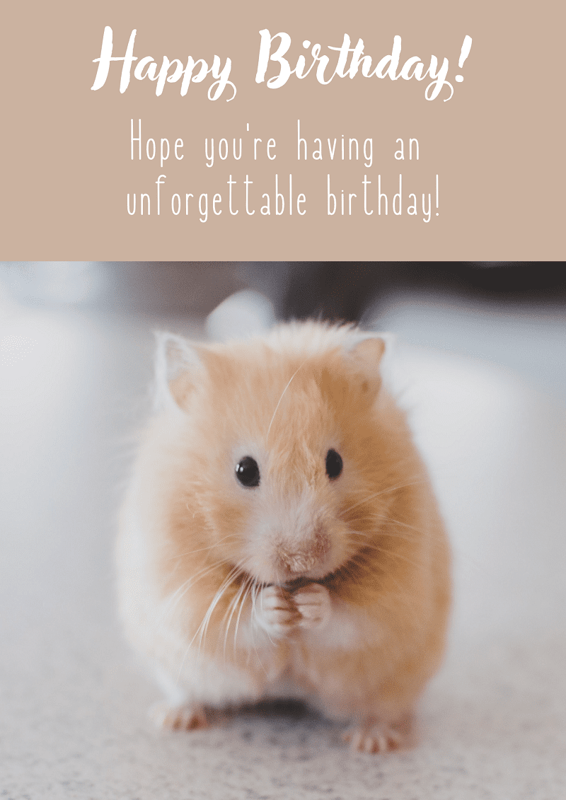 Birthday-Images-with-Wishes-Hamster-031-Designed-by-WishesMoonzori